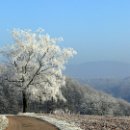 FVCW (35)-Weicht-Ulrich